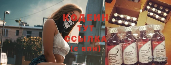 дживик Сатка