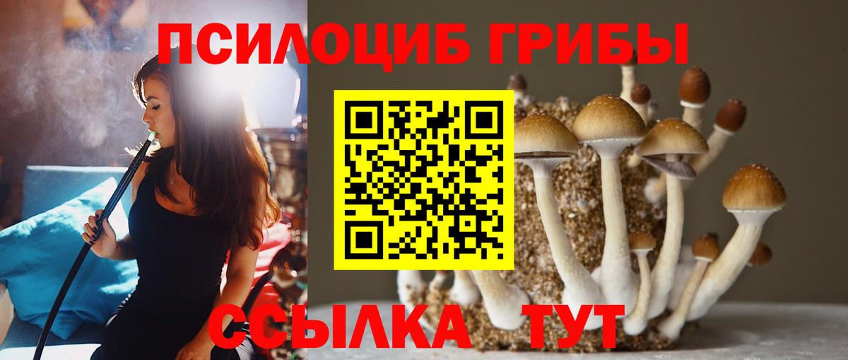 Галлюциногенные грибы Psilocybine cubensis  Вход с VPN  Ишимбай 